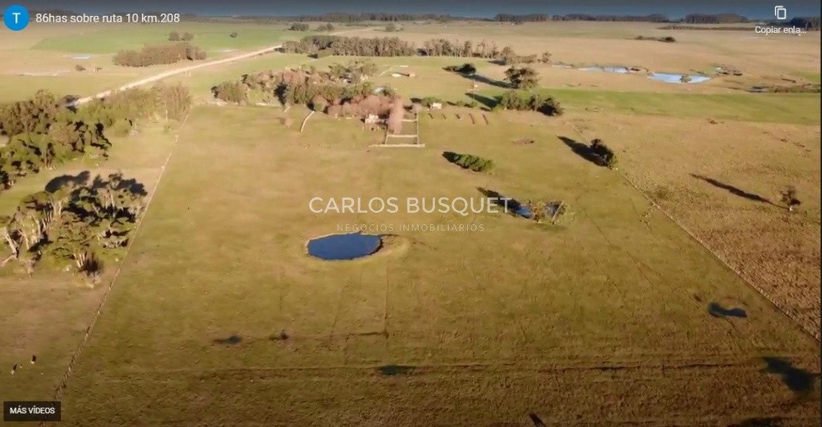 Campo Ref.59 - Campo de 86,5 hectáreas en Rocha