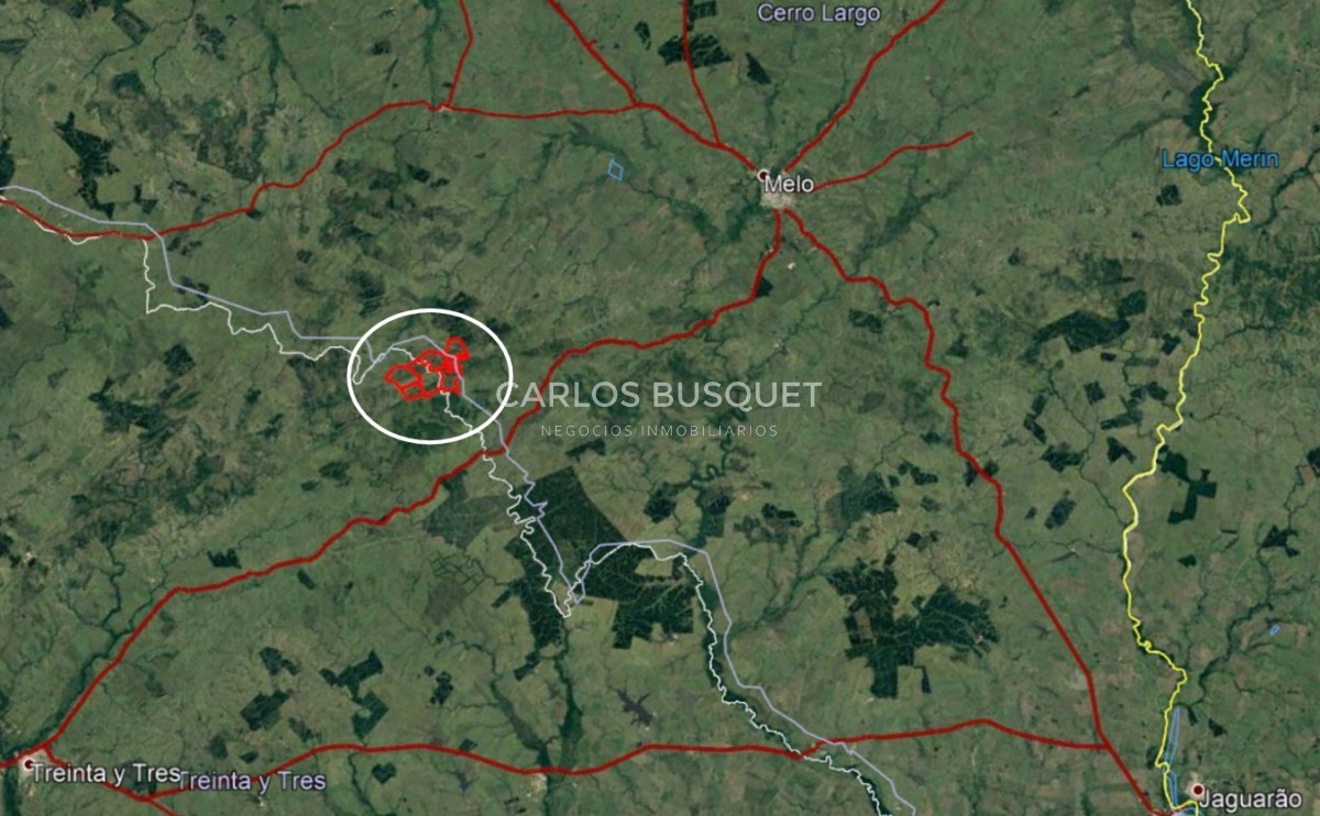 Campo Ref.314 - Campo en venta de 2145 has. en Treinta y Tres - Aptitud forestal- ganadero 