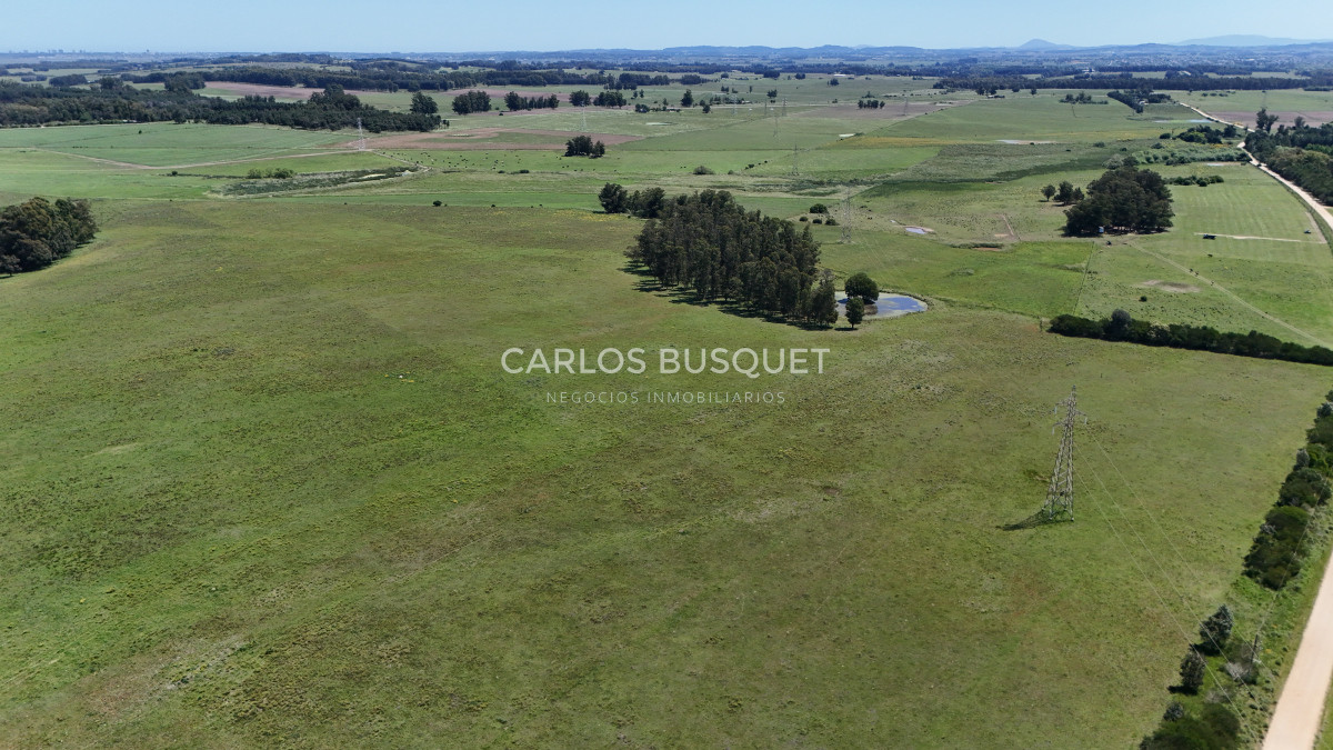 Campo Ref.311 - Campo en venta de 102 Hectáreas zona Ruta 104 