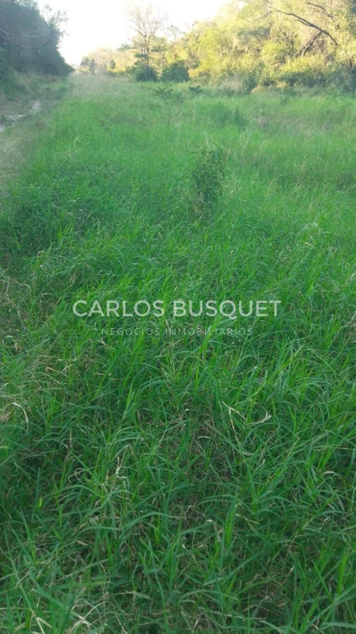 Campo Ref.1705 - Campo ganadero de 5.250 hectáreas en venta en Formosa