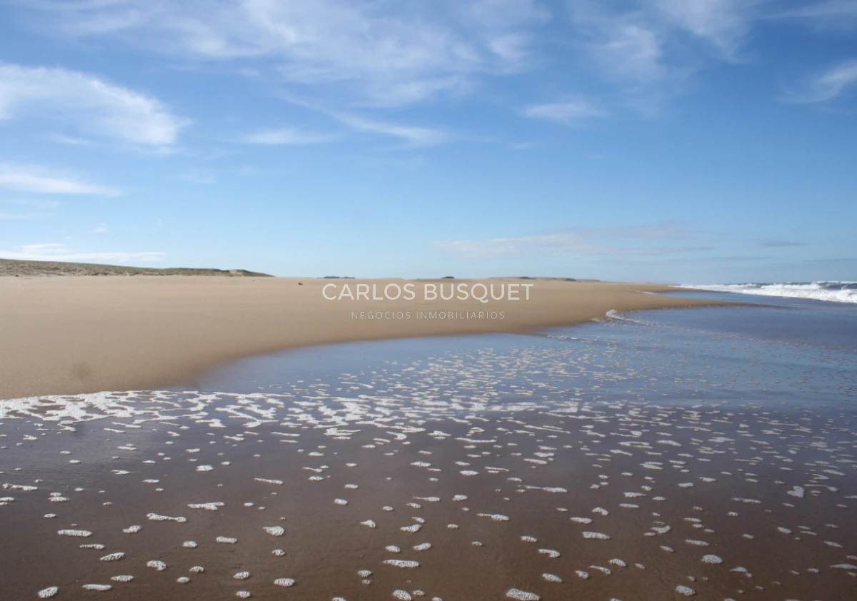 Campo Ref.1207 - CAMPO EN VENTA DE 232 HECTAREAS CON COSTA DE MAR EN ROCHA