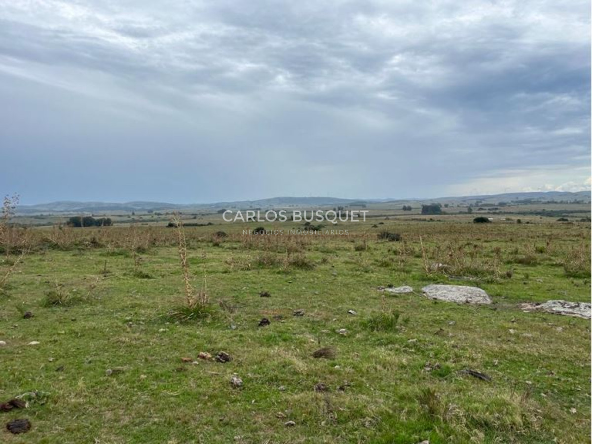 Campo Ref.1131 - Campo en venta 183 has. en Ruta 39