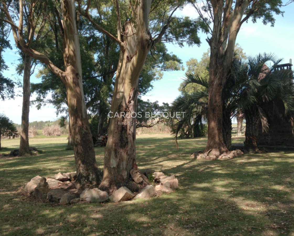 Campo Ref.1207 - CAMPO EN VENTA DE 232 HECTAREAS CON COSTA DE MAR EN ROCHA