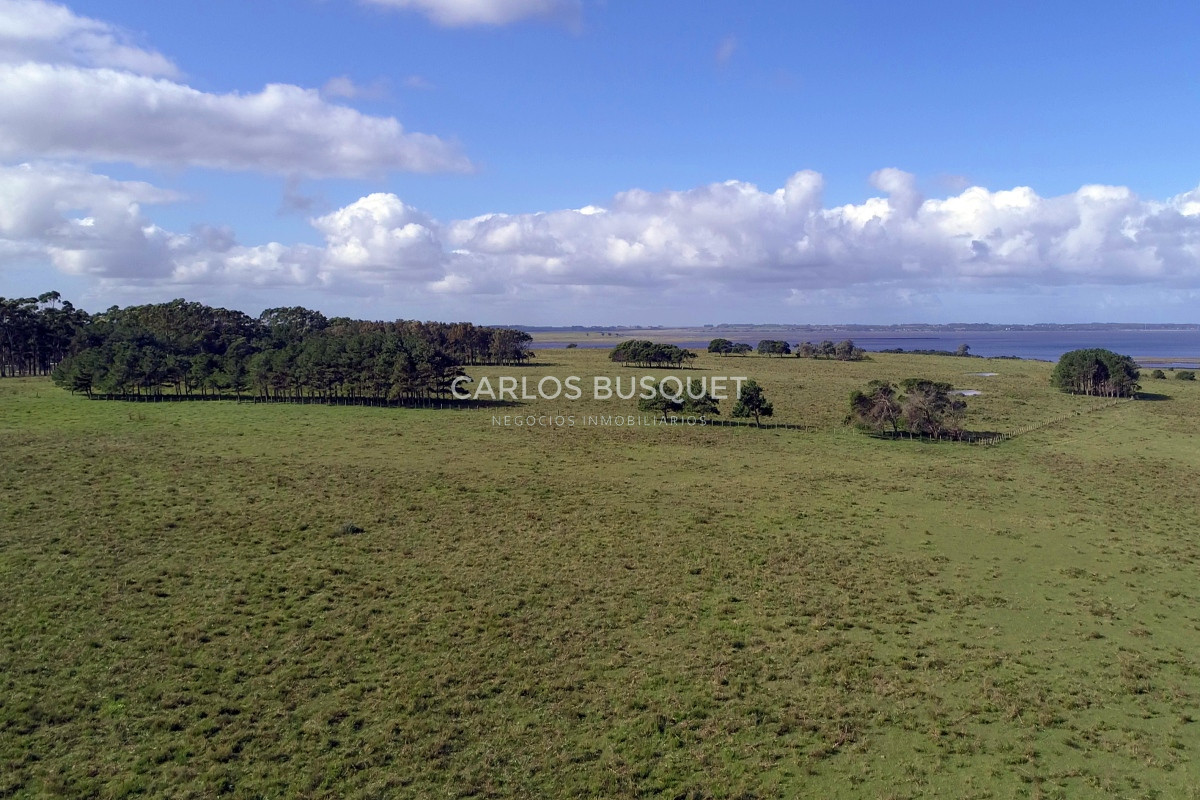 Campo Ref.542 - Campo de 189 has. en venta con costa de arroyo y Laguna de Jose Ignacio 