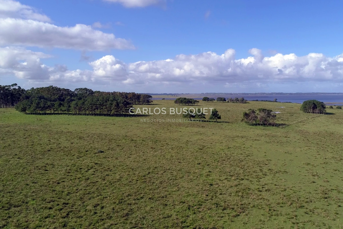 Campo Ref.542 - Campo de 180 has. en venta con costa de arroyo y Laguna de Jose Ignacio 