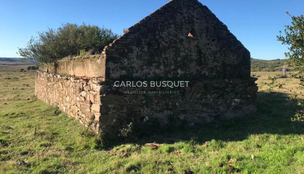 Campo Ref.1131 - Campo en venta 183 has. en Ruta 39