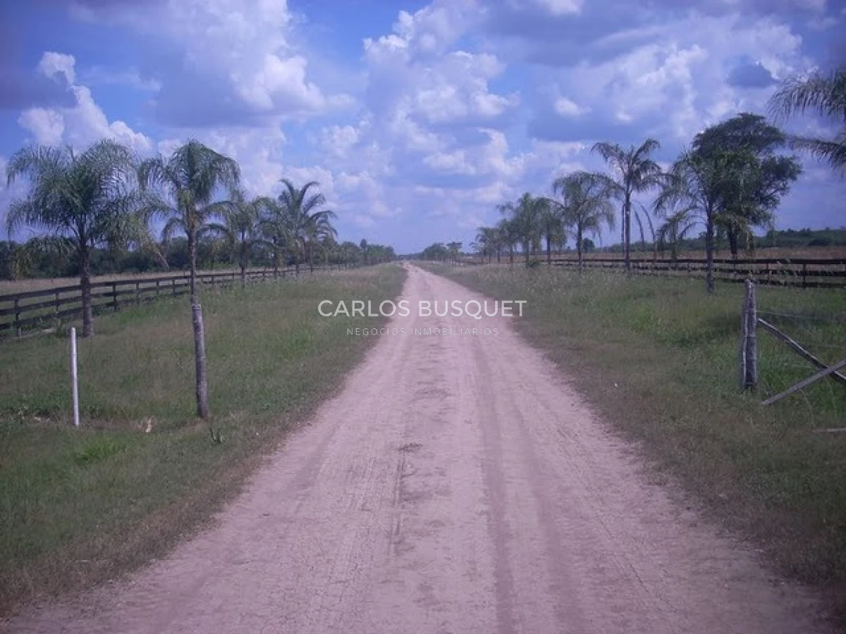 Campo Ref.1695 - Campo en venta de 20.600 has en Formosa 