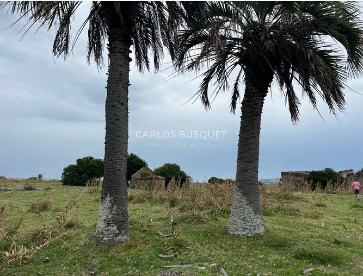 Campo Ref.1131 - Campo en venta 183 has. en Ruta 39