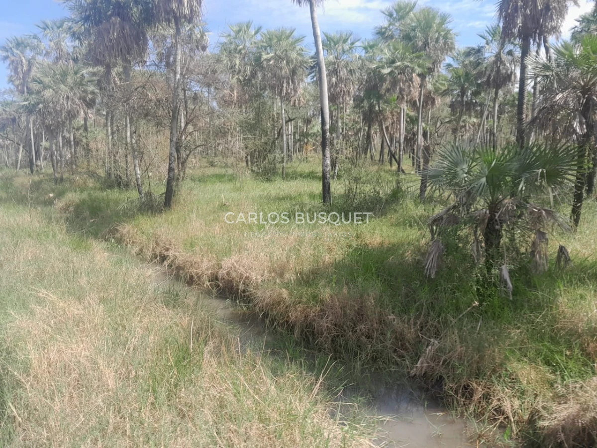 Campo Ref.1707 - Venta de 6.000 has. ganaderas en Formosa