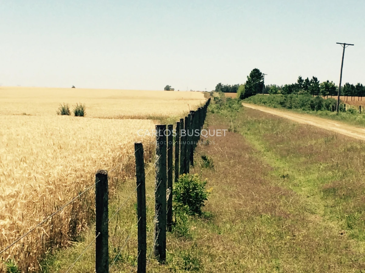 Campo Ref.1698 - Campo en venta de 1,420 hectáreas en Formosa