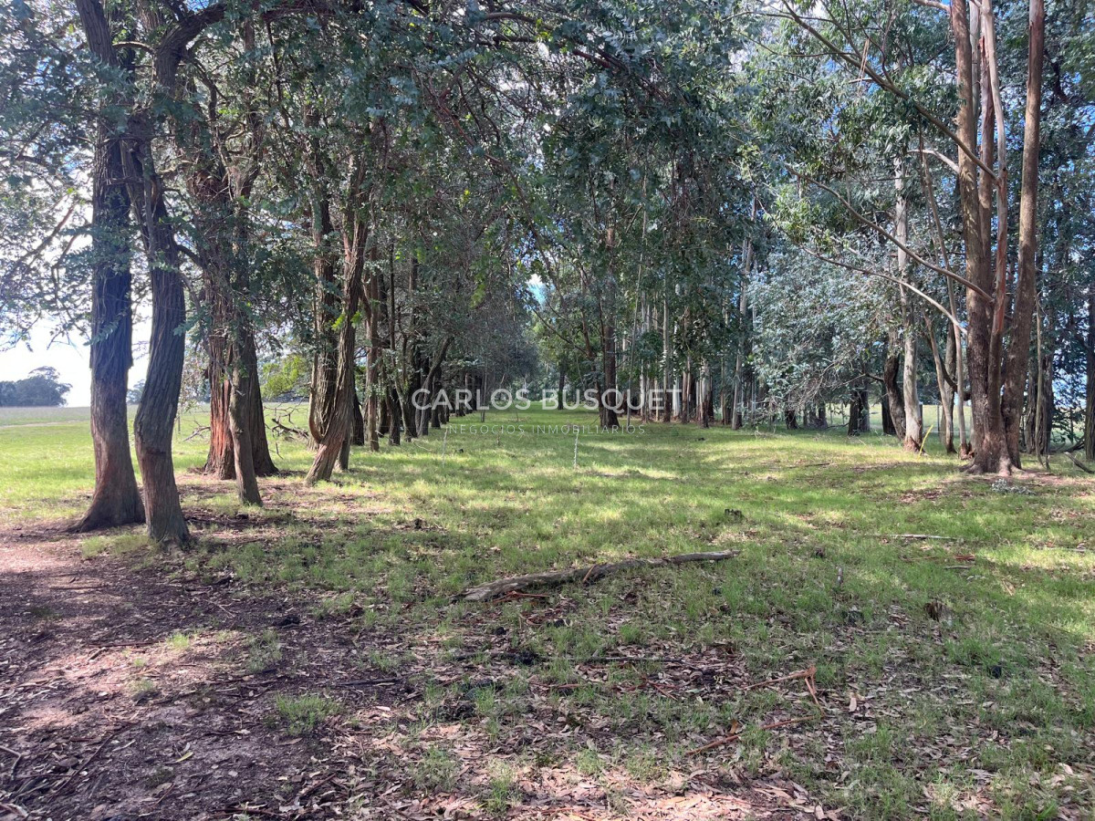 Campo Ref.1160 - Campo Agricola 140 has Garzon Las garzas