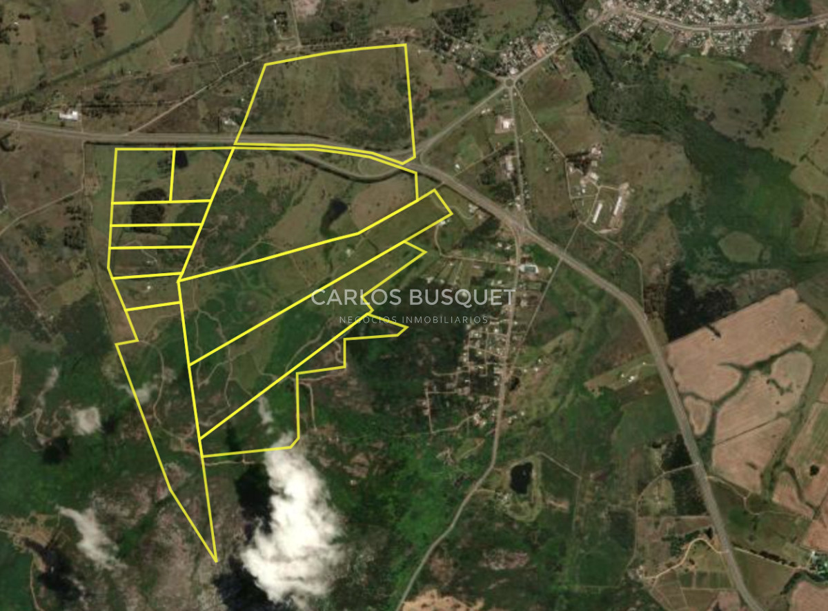 Campo Ref.308 - Campo en venta de 340 has. en venta en zona Pan de Azúcar 