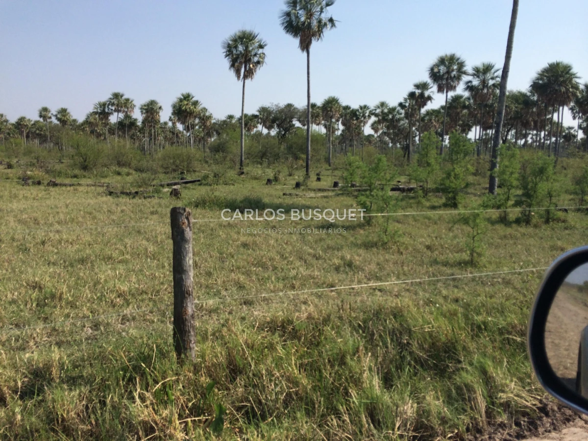 Campo Ref.1707 - Venta de 6.000 has. ganaderas en Formosa