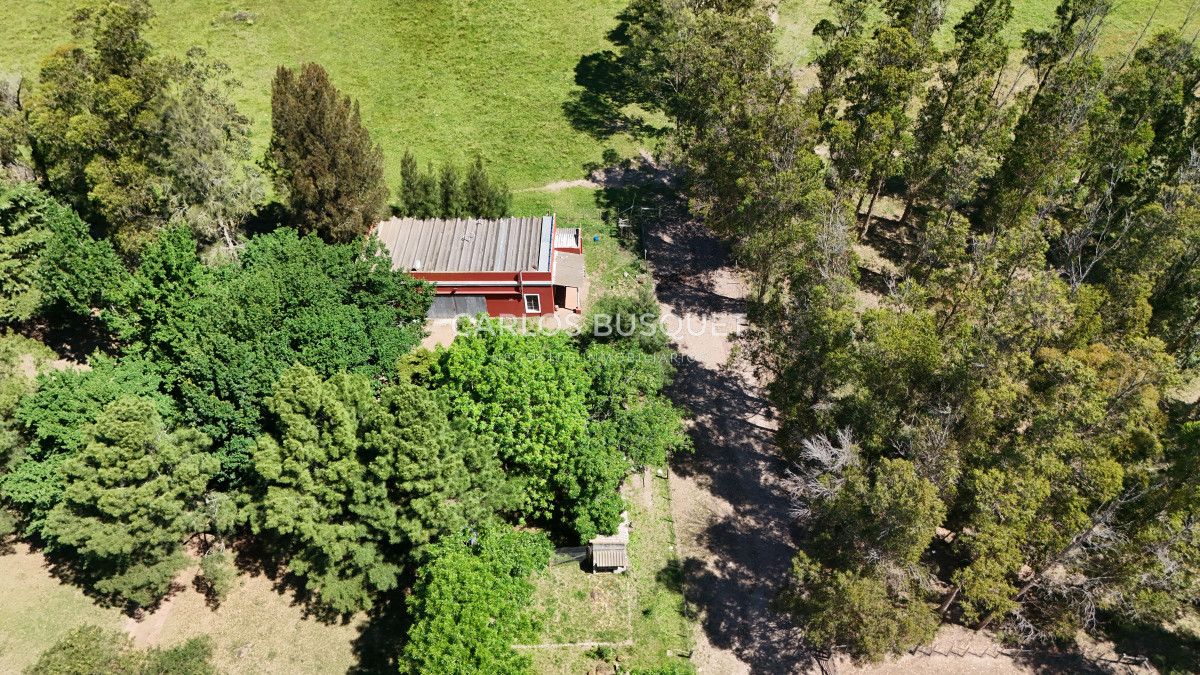 Campo Ref.311 - Campo en venta de 102 Hectáreas zona Ruta 104 