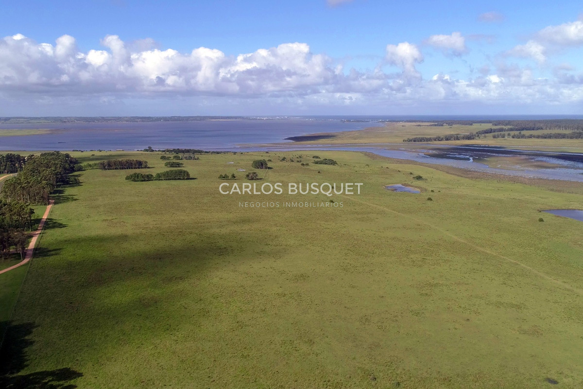 Campo Ref.542 - Campo de 189 has. en venta con costa de arroyo y Laguna de Jose Ignacio 