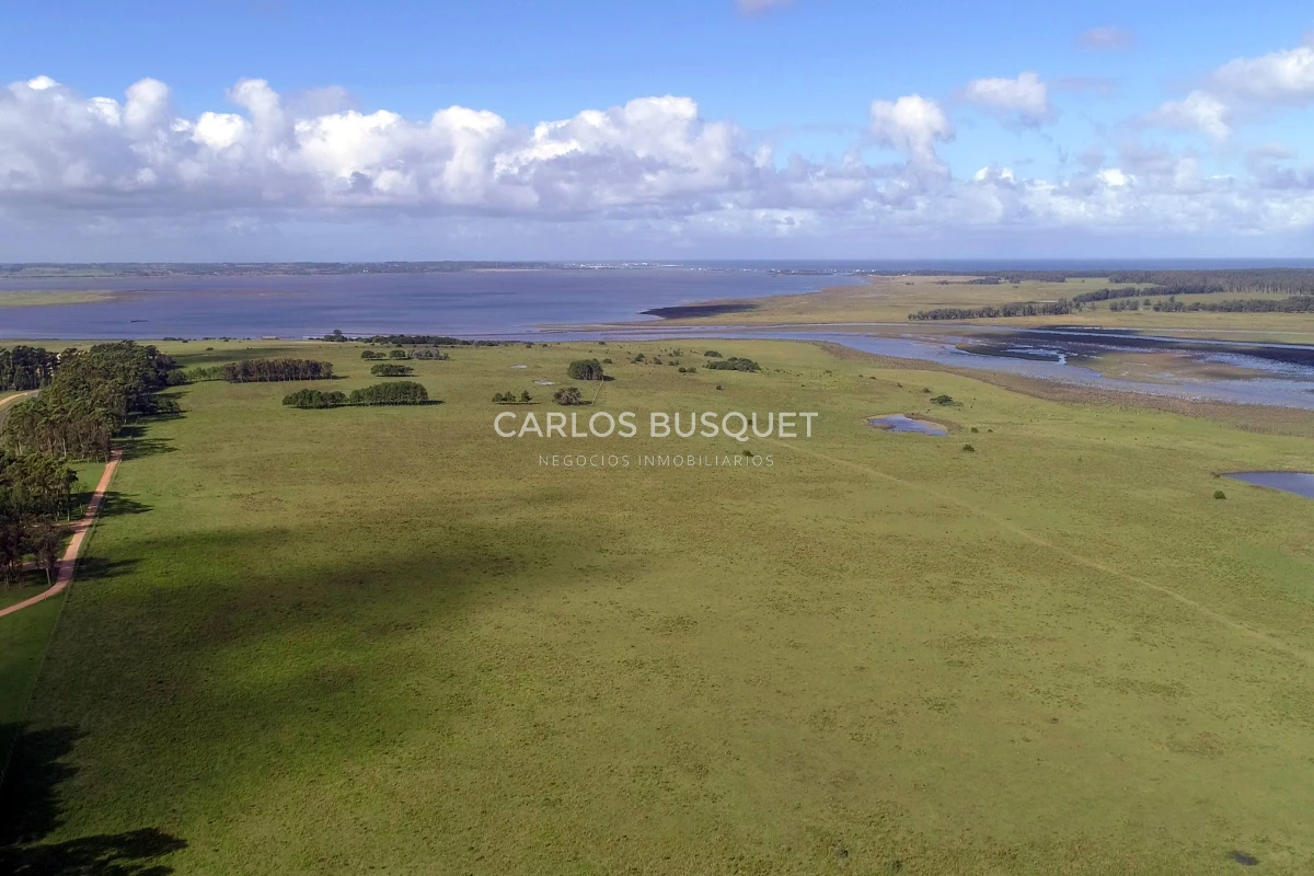 Campo Ref.542 - Campo de 180 has. en venta con costa de arroyo y Laguna de Jose Ignacio 