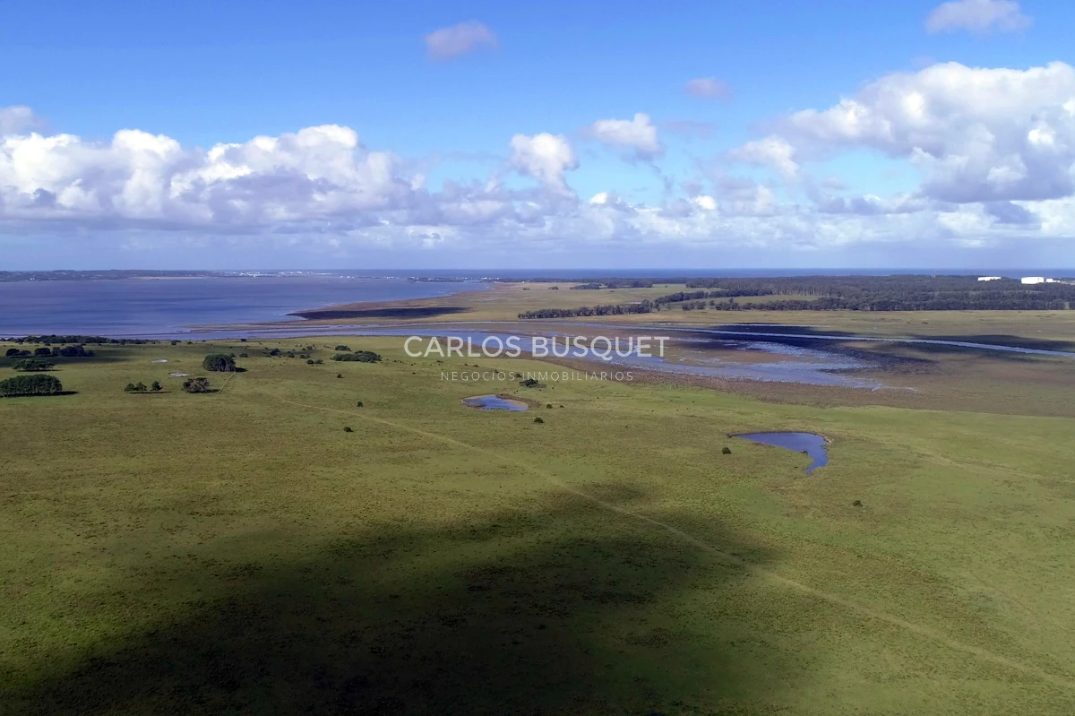Campo Ref.542 - Campo de 180 has. en venta con costa de arroyo y Laguna de Jose Ignacio 