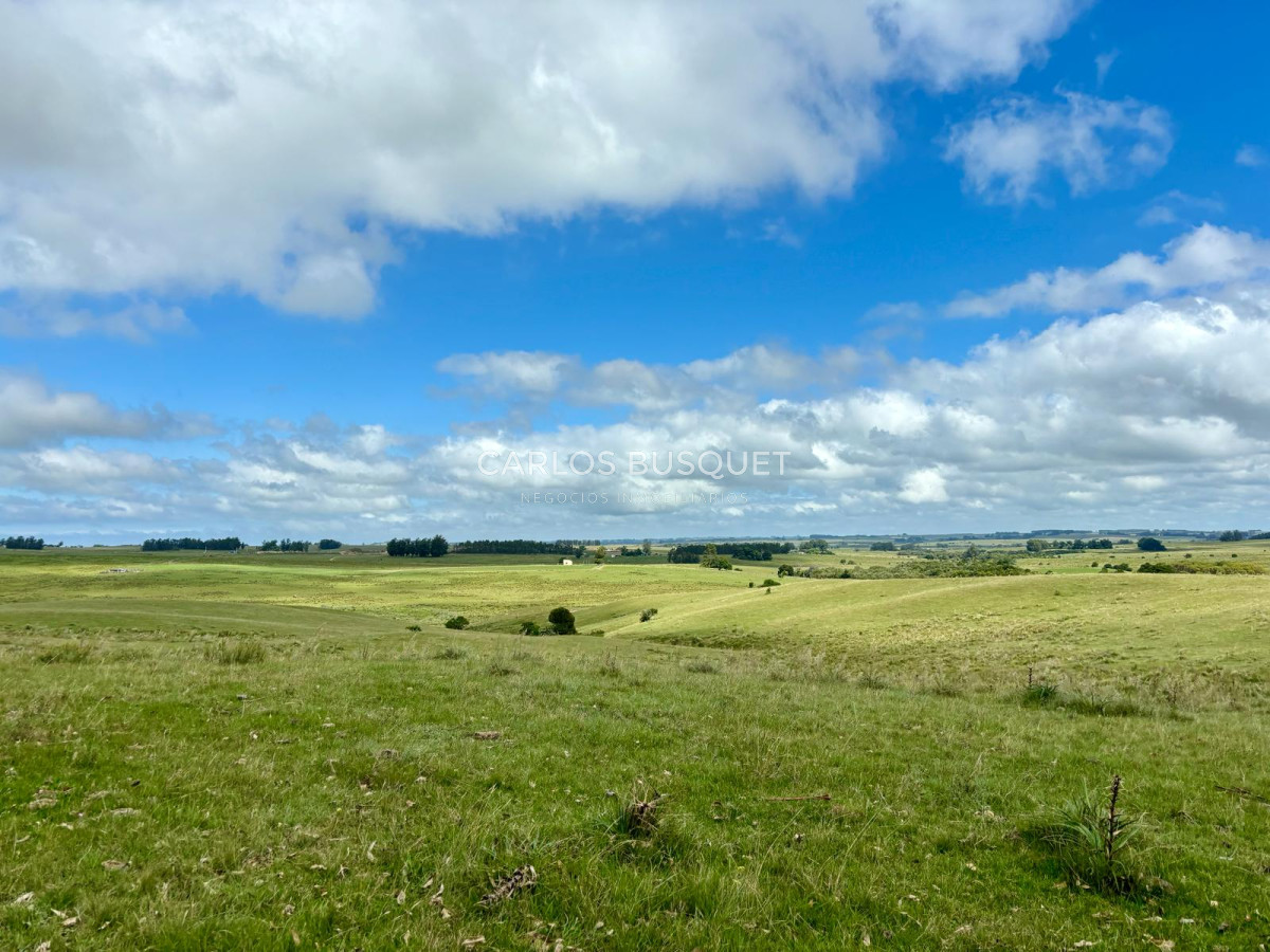 Campo Ref.536 - Campo en venta de 78 has.  en Camino Sainz Martinez, Jose Ignacio 