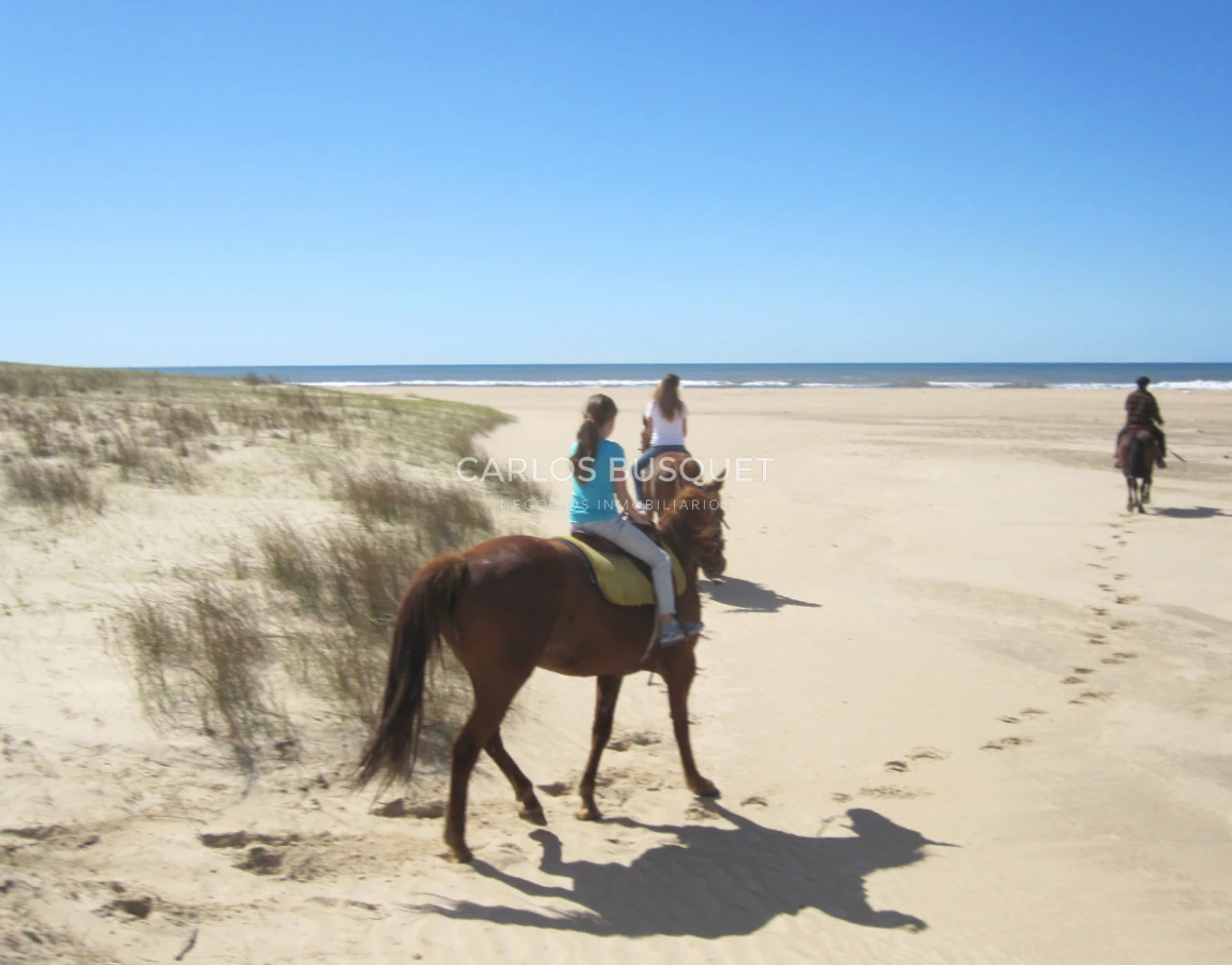Campo Ref.1207 - CAMPO EN VENTA DE 232 HECTAREAS CON COSTA DE MAR EN ROCHA