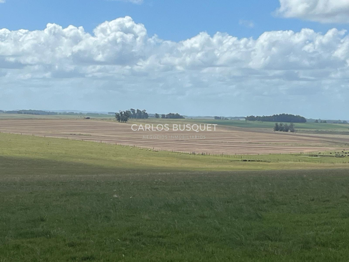 Campo Ref.1160 - Campo Agricola 140 has Garzon Las garzas