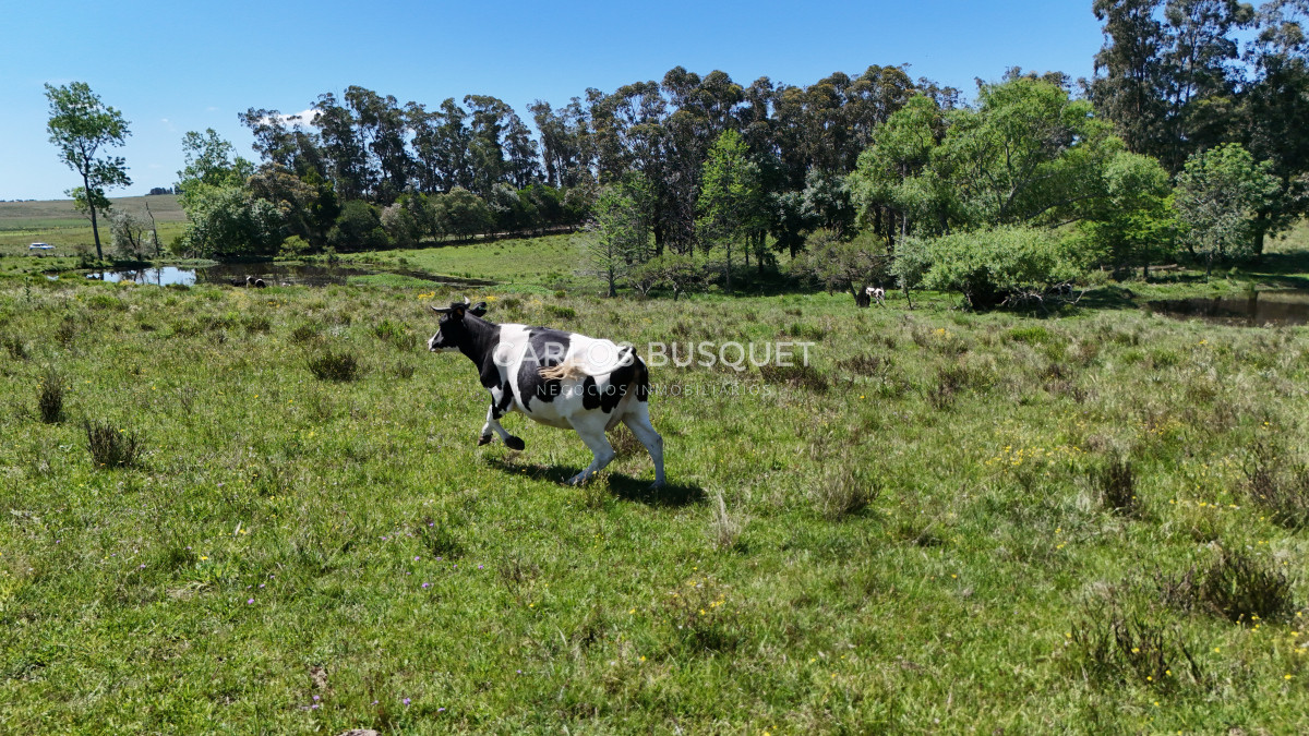 Campo Ref.311 - Campo en venta de 102 Hectáreas zona Ruta 104 
