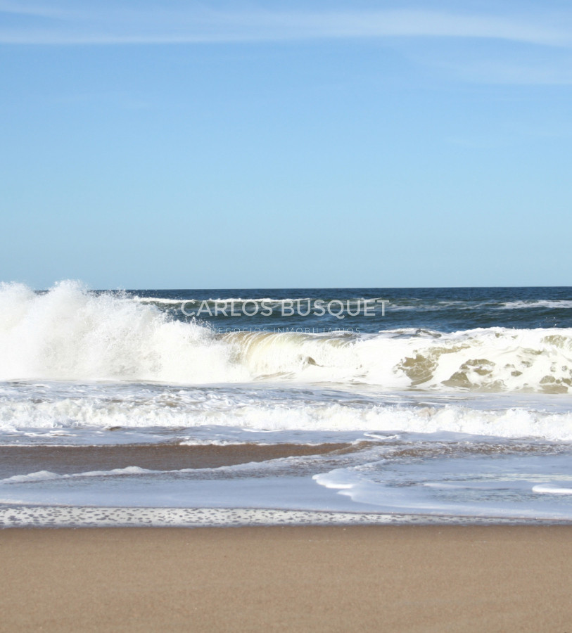 Campo Ref.1207 - CAMPO EN VENTA DE 232 HECTAREAS CON COSTA DE MAR EN ROCHA