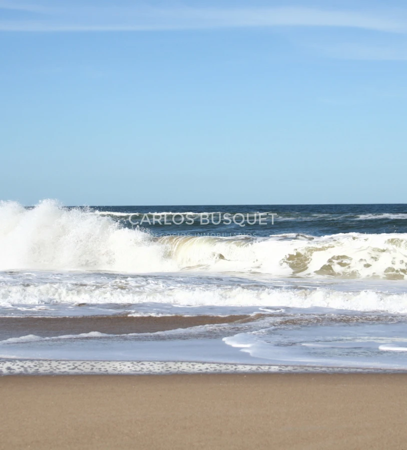 Campo Ref.1207 - CAMPO EN VENTA DE 232 HECTAREAS CON COSTA DE MAR EN ROCHA