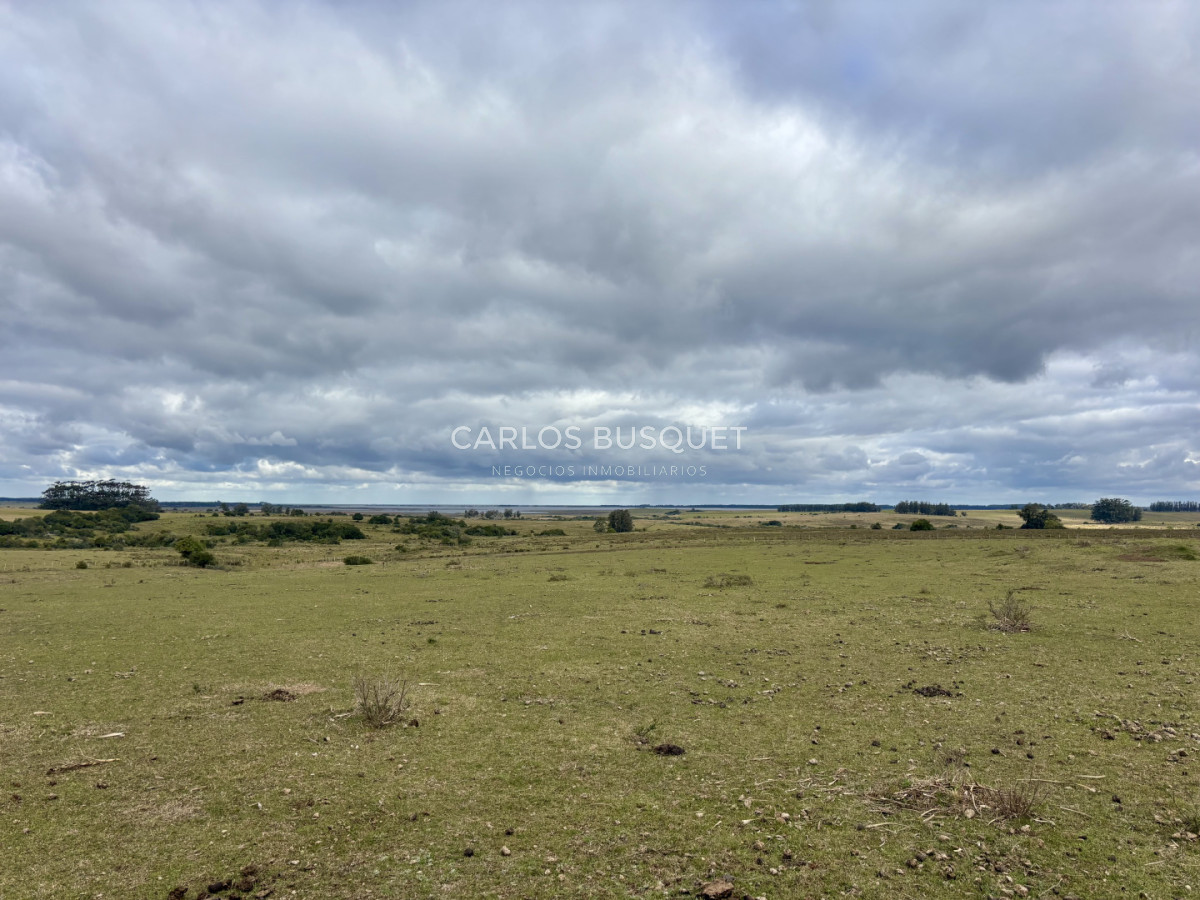 Campo Ref.1726 - Chacra de 30 has. en venta en José Ignacio - Ruta 9 