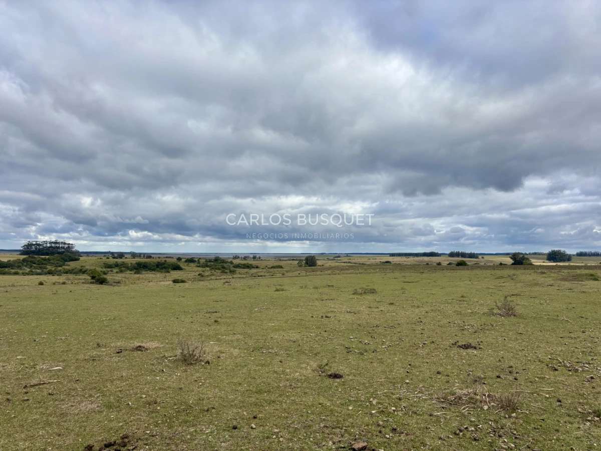 Campo Ref.1726 - Chacra de 30 has. en venta en José Ignacio - Ruta 9 