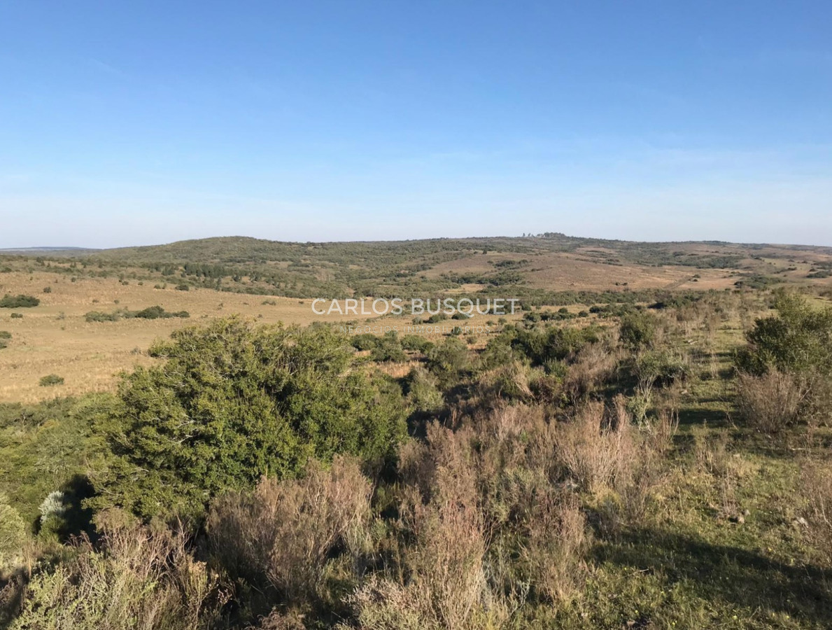 Campo Ref.314 - Campo en venta de 2145 has. en Treinta y Tres - Aptitud forestal- ganadero 