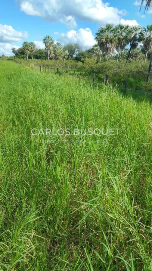 Campo Ref.1707 - Venta de 6.000 has. ganaderas en Formosa