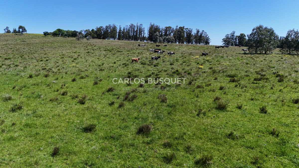 Campo Ref.311 - Campo en venta de 102 Hectáreas zona Ruta 104 