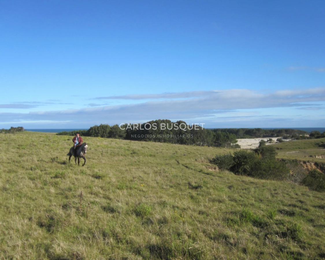 Campo Ref.1207 - CAMPO EN VENTA DE 232 HECTAREAS CON COSTA DE MAR EN ROCHA