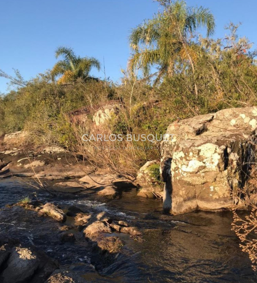 Campo Ref.314 - Campo en venta de 2145 has. en Treinta y Tres - Aptitud forestal- ganadero 