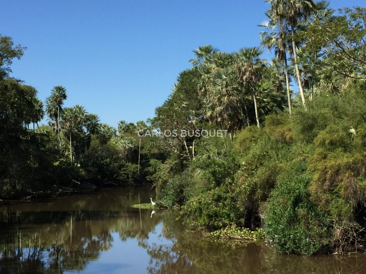 Campo Ref.1707 - Venta de 6.000 has. ganaderas en Formosa