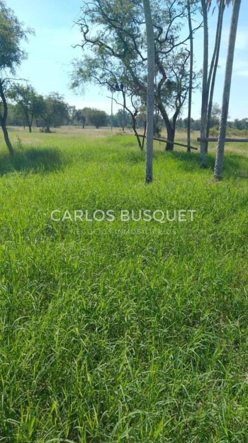 Campo Ref.1699 - Campo Ganadero de 1.400 hectáreas en Formosa, Argentina