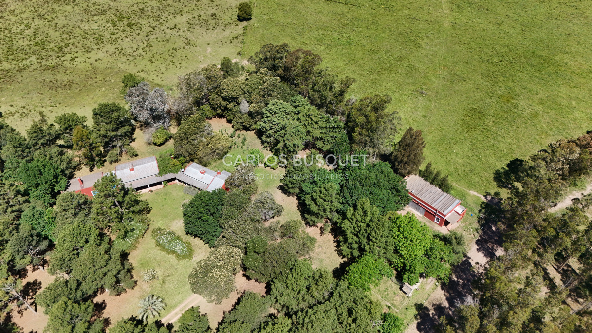 Campo Ref.311 - Campo en venta de 102 Hectáreas zona Ruta 104 