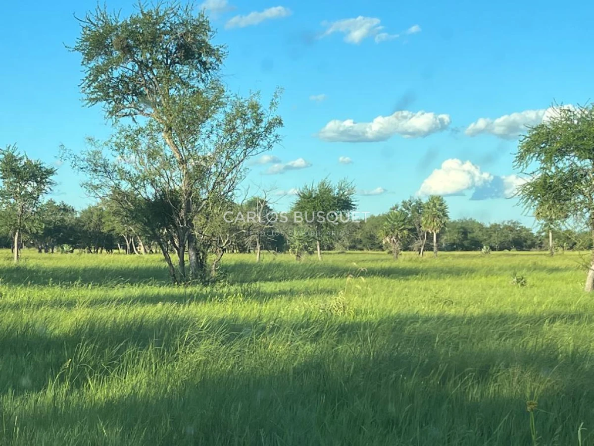 Campo Ref.1695 - Campo en venta de 20.600 has en Formosa 