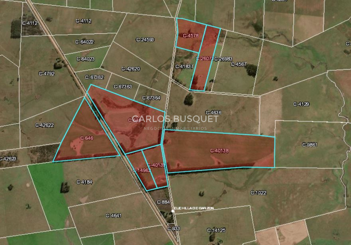 Campo Ref.1160 - Campo Agricola 140 has Garzon Las garzas