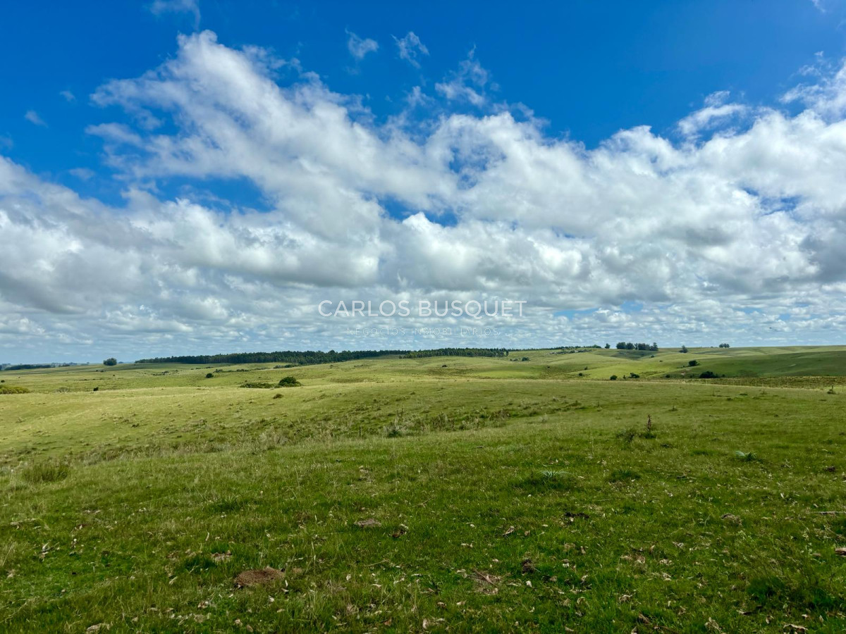 Campo Ref.536 - Campo en venta de 78 has.  en Camino Sainz Martinez, Jose Ignacio 
