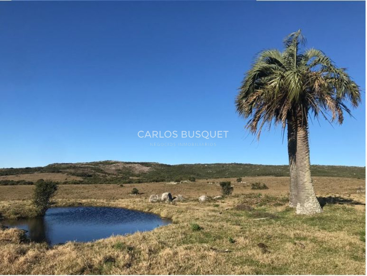 Campo Ref.1131 - Campo en venta 183 has. en Ruta 39