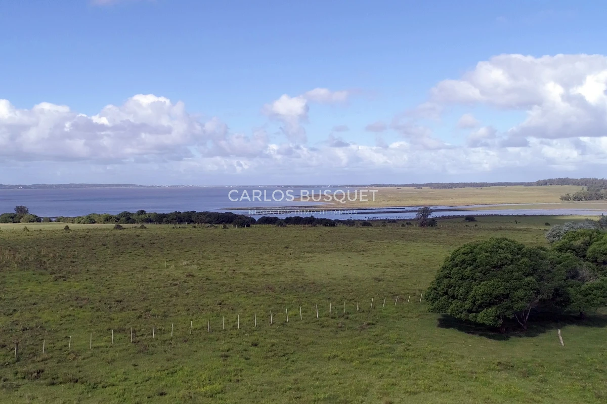 Campo Ref.542 - Campo de 180 has. en venta con costa de arroyo y Laguna de Jose Ignacio 