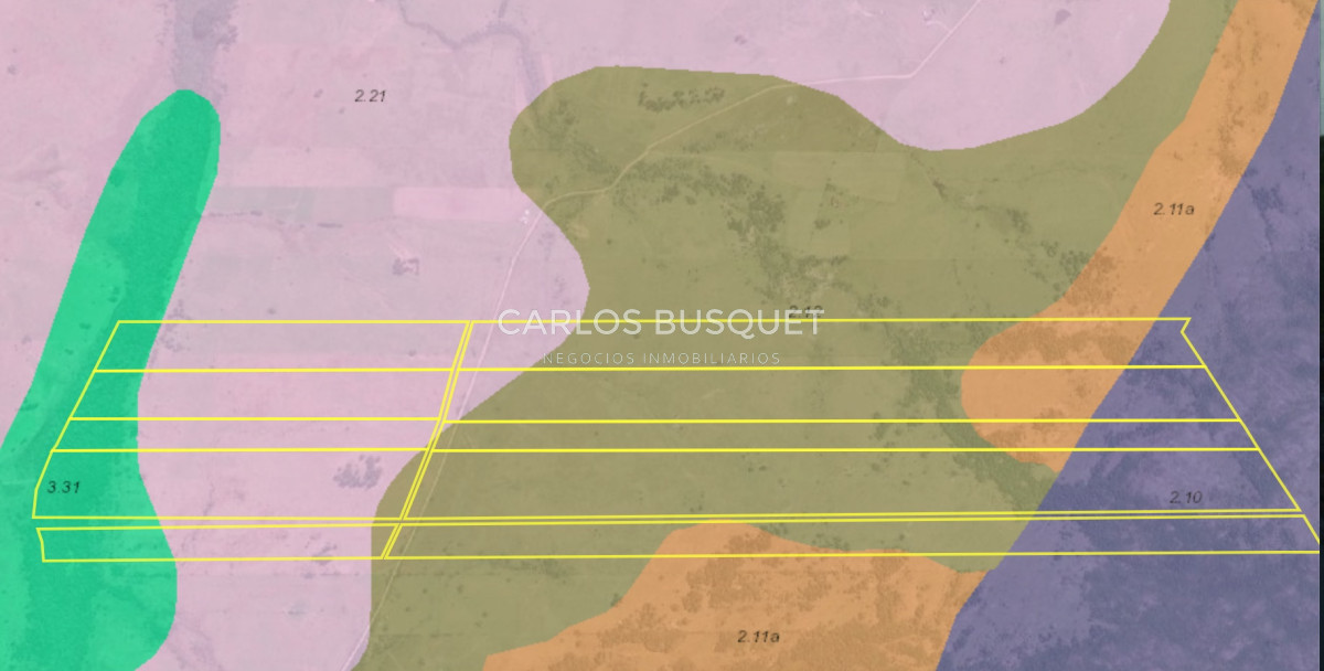 Campo Ref.1131 - Campo en venta 183 has. en Ruta 39