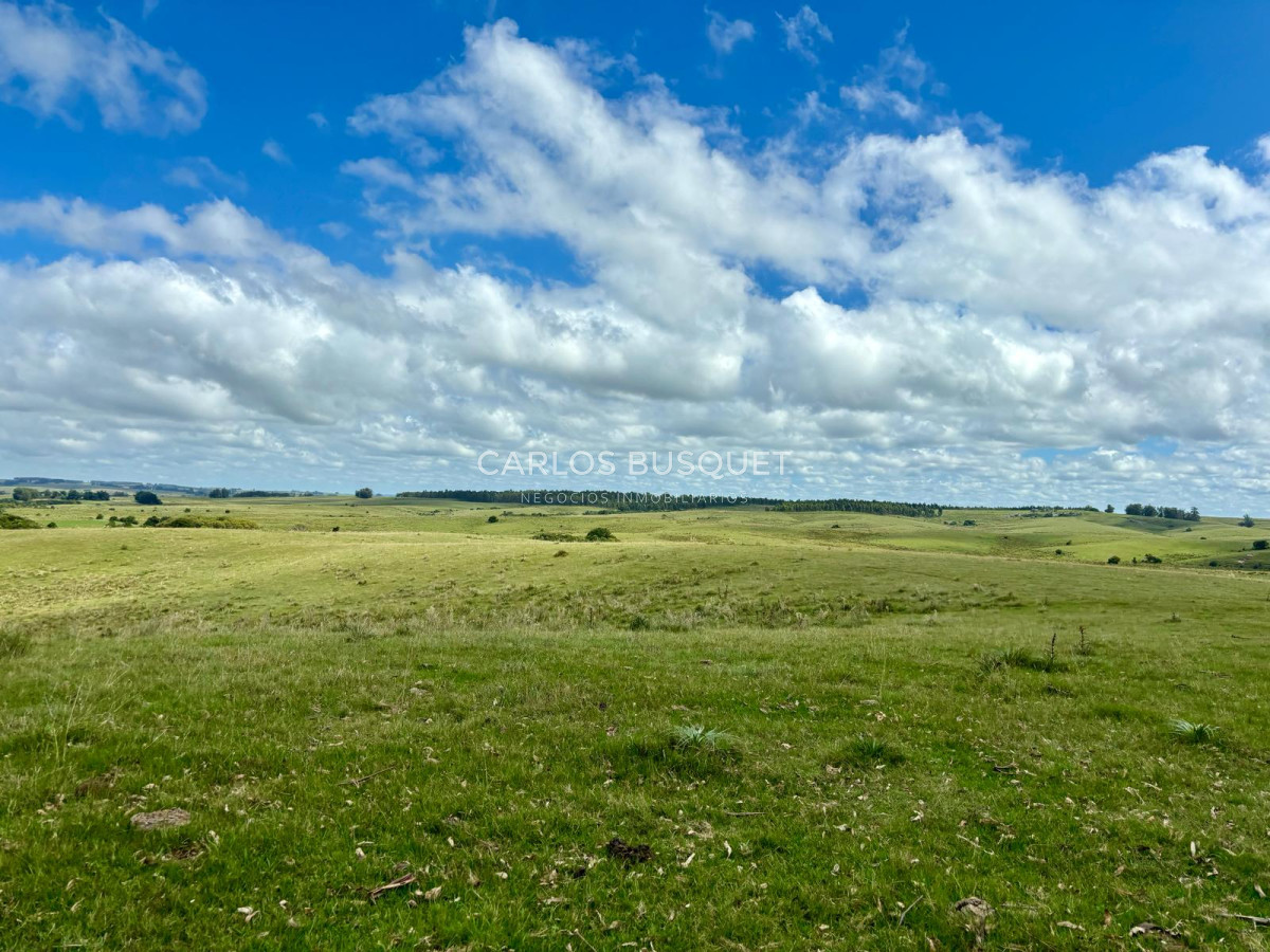 Campo Ref.536 - Campo en venta de 78 has.  en Camino Sainz Martinez, Jose Ignacio 