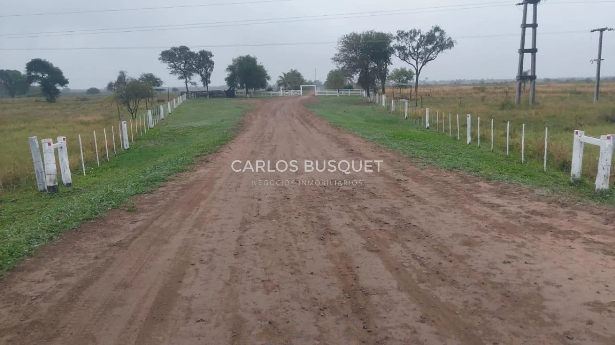 Campo Ref.1695 - Campo en venta de 20.600 has en Formosa 