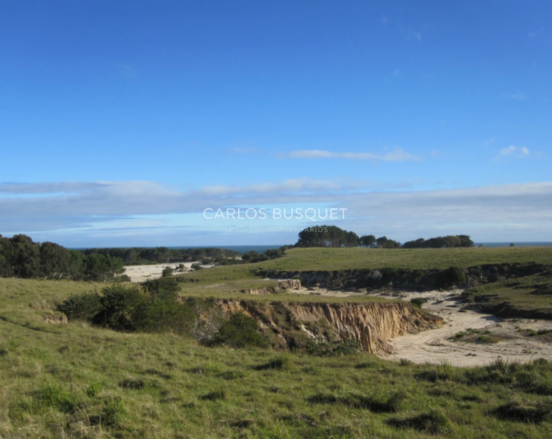 Campo Ref.1207 - CAMPO EN VENTA DE 232 HECTAREAS CON COSTA DE MAR EN ROCHA