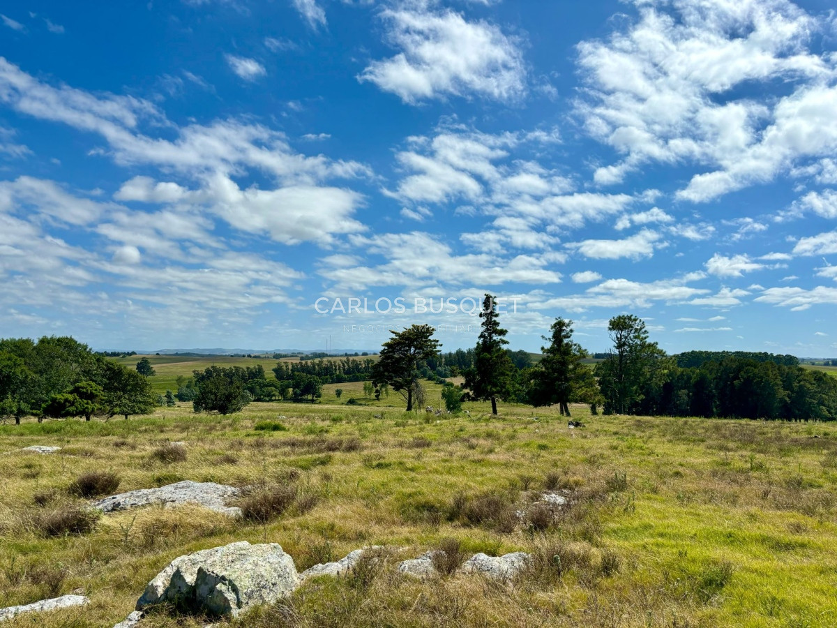Campo Ref.311 - Campo en venta de 102 Hectáreas zona Ruta 104 
