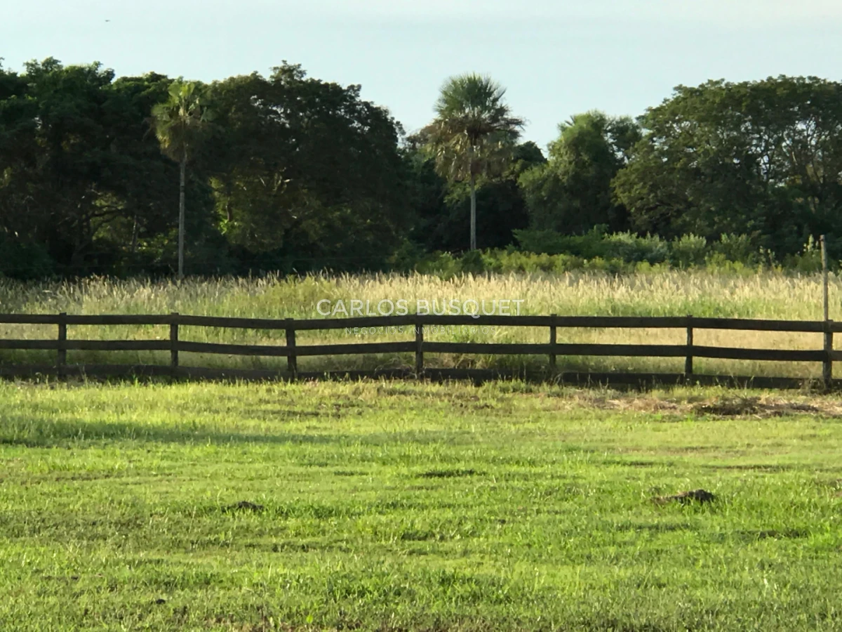 Campo Ref.1704 - Campo ganadero de 1.500 has. en venta en Formosa