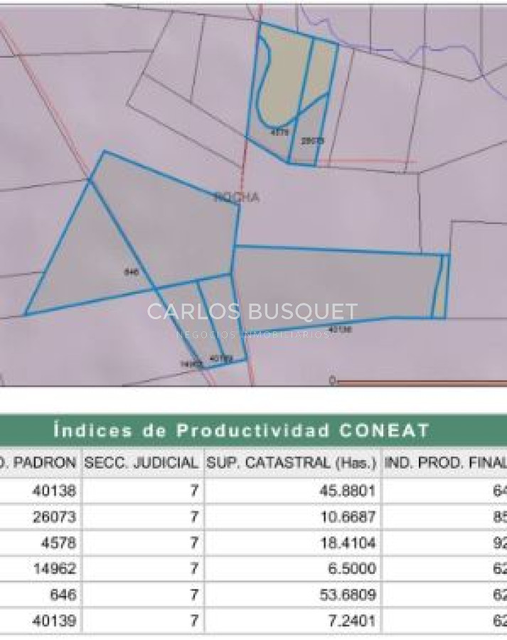 Campo Ref.1160 - Campo Agricola 140 has Garzon Las garzas