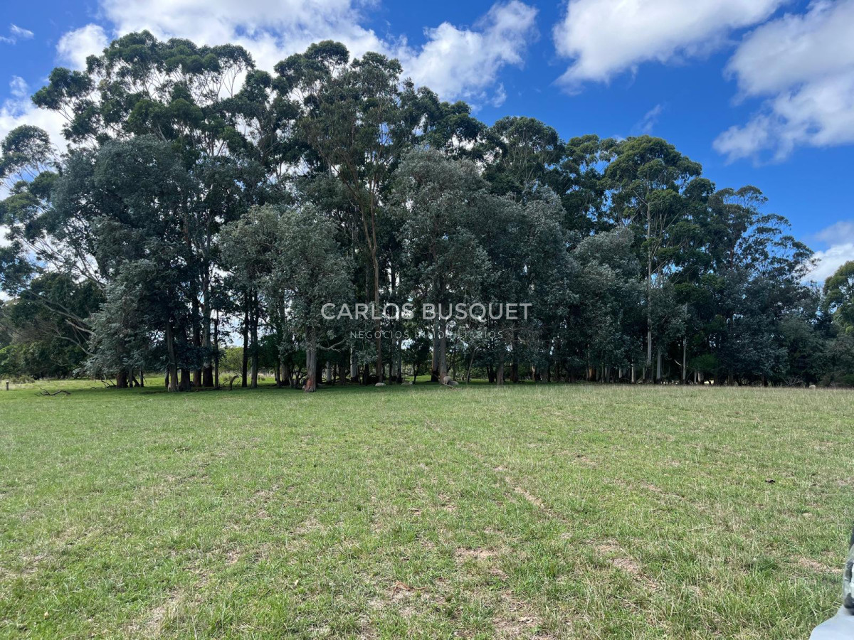 Campo Ref.1160 - Campo Agricola 140 has Garzon Las garzas